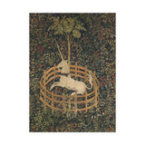 Postcard Bundles (envelopes included)